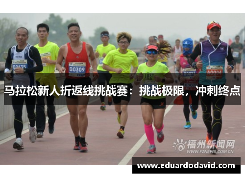 马拉松新人折返线挑战赛：挑战极限，冲刺终点